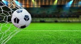 Kết luận về thể thao VF2026