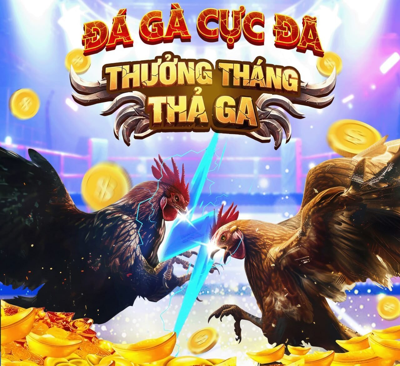 VF2026 - Đá gà Việt Nam